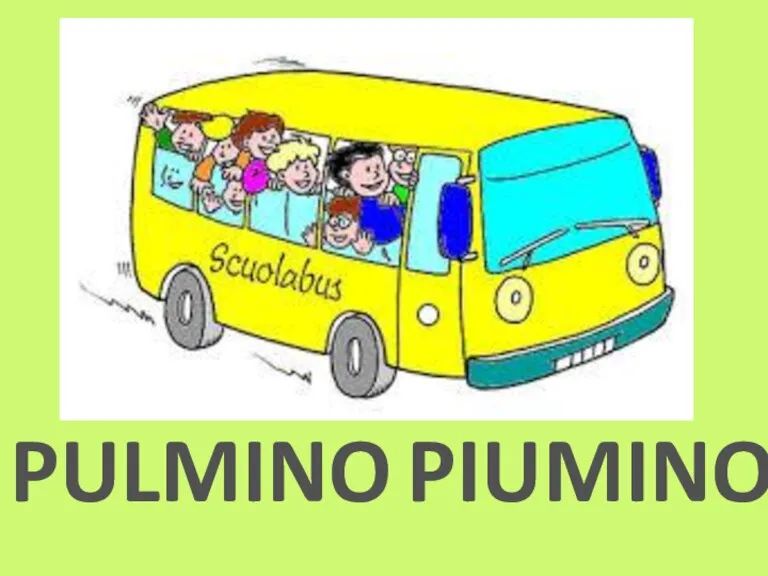 PULMINO PIUMINO