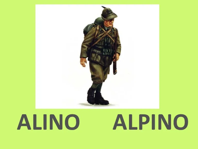 ALINO ALPINO