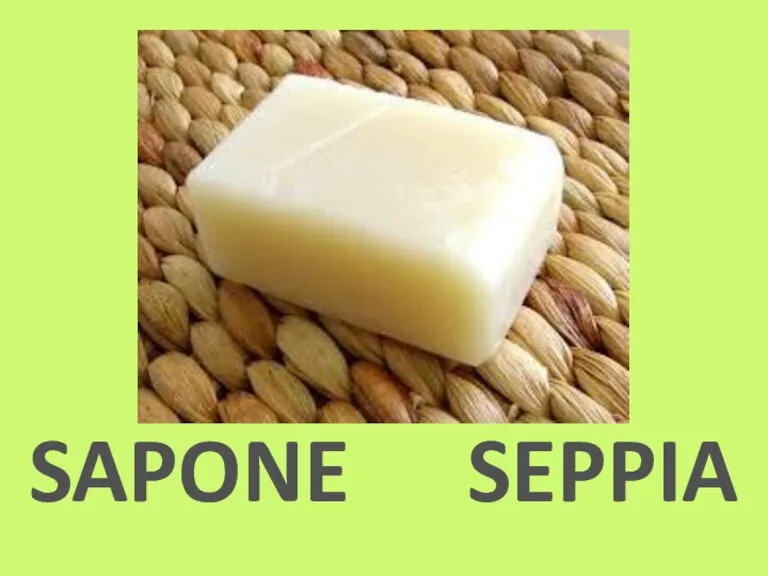 SAPONE SEPPIA