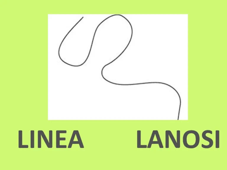 LINEA LANOSI