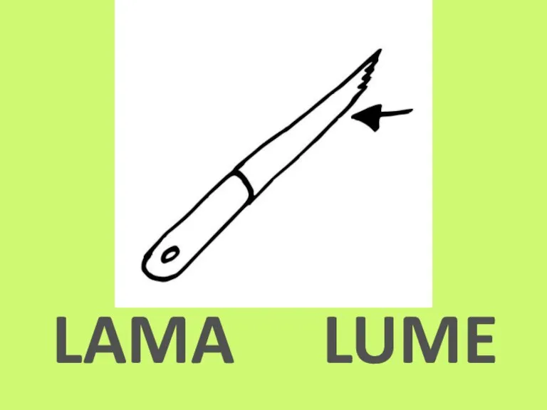 LUME LAMA