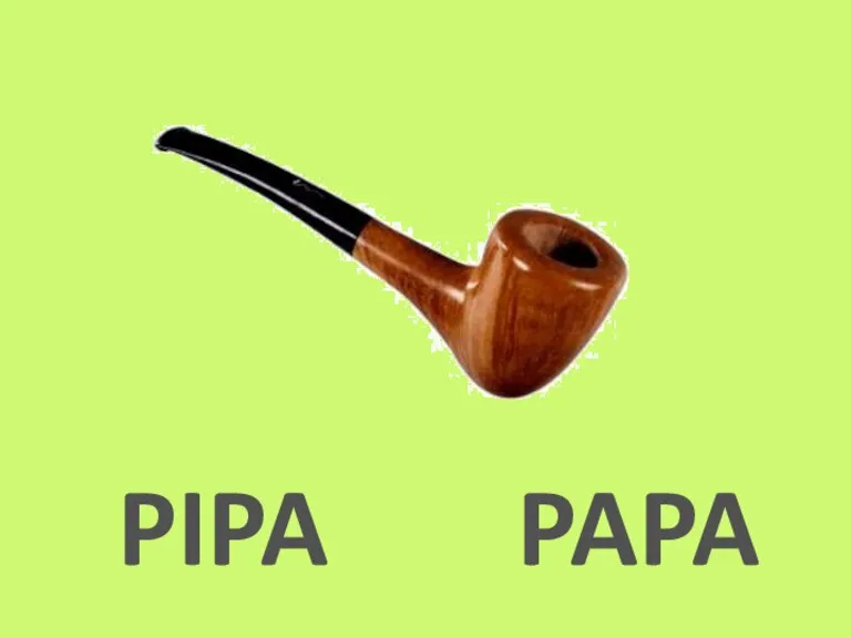 PIPA PAPA