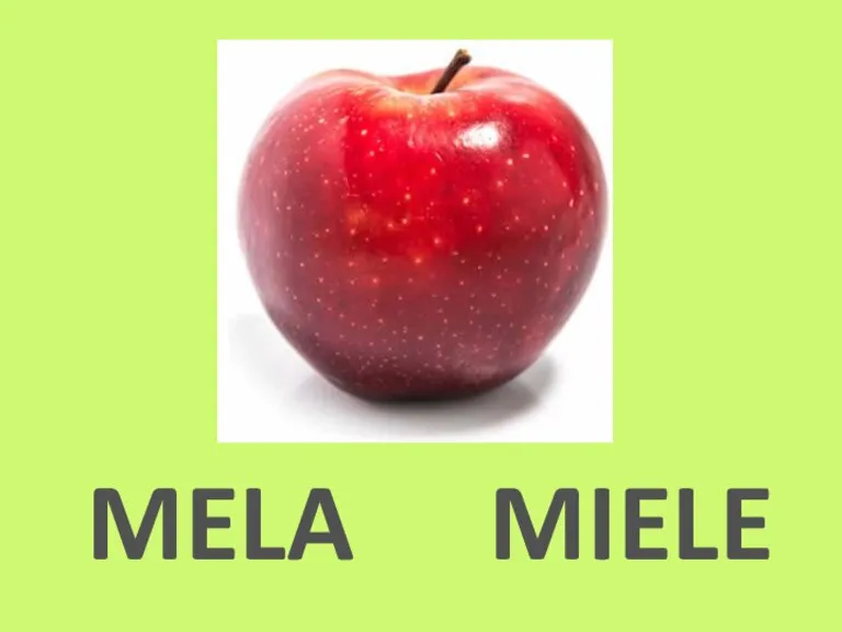 MELA MIELE