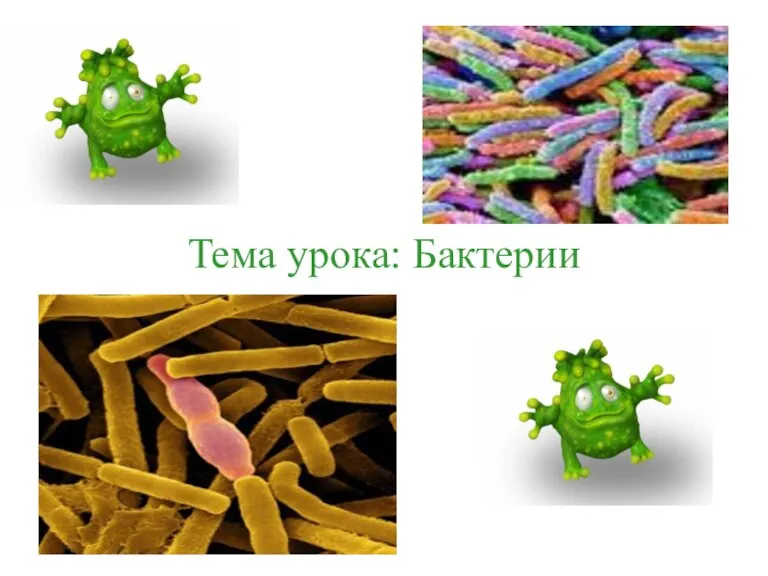 Тема урока: Бактерии
