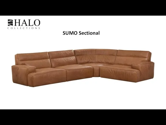 SUMO Sectional