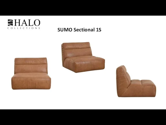 SUMO Sectional 1S