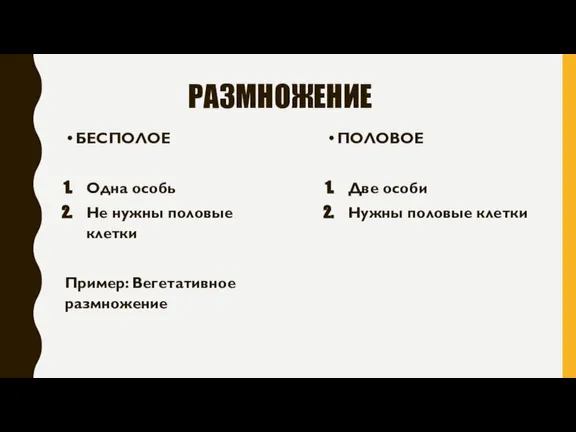 РАЗМНОЖЕНИЕ БЕСПОЛОЕ Одна особь Не нужны половые клетки Пример: Вегетативное размножение ПОЛОВОЕ