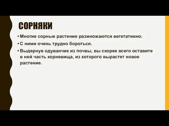 СОРНЯКИ Многие сорные растения размножаются вегетативно. С ними очень трудно бороться. Выдернув