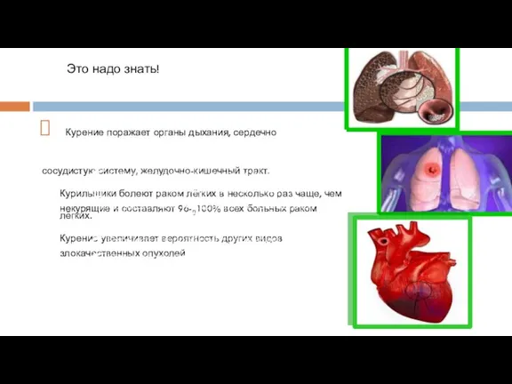 Это надо знать! Курение поражает органы дыхания, сердечно сосудистую систему, желудочно-кишечный тракт.