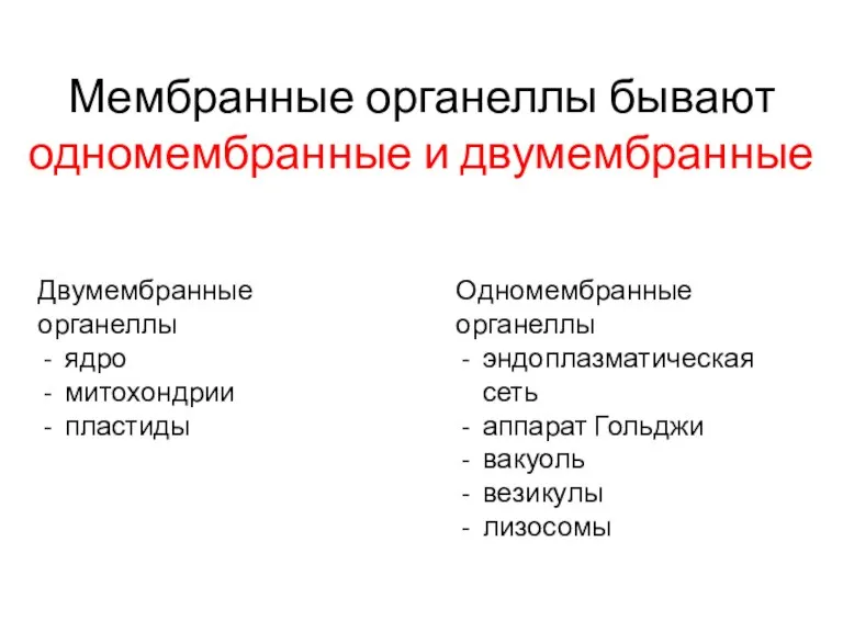 Мембранные органеллы бывают одномембранные и двумембранные Двумембранные органеллы ядро митохондрии пластиды Одномембранные