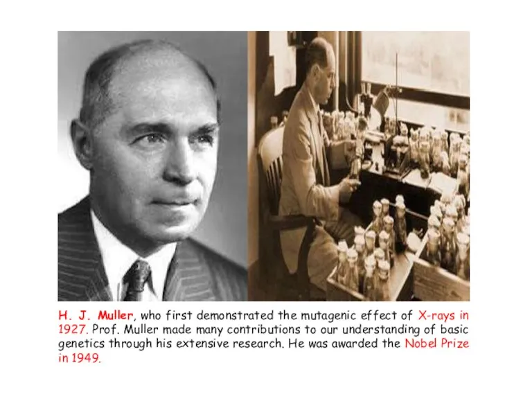 H. J. Muller, who first demonstrated the mutagenic effect of X-rays in