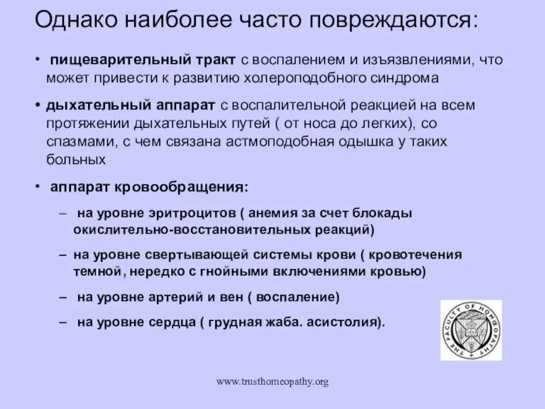 www.trusthomeopathy.org Однако наиболее часто повреждаются: пищеварительный тракт с воспалением и изъязвлениями, что