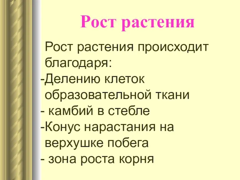 Рост растения Рост растения происходит благодаря: Делению клеток образовательной ткани камбий в