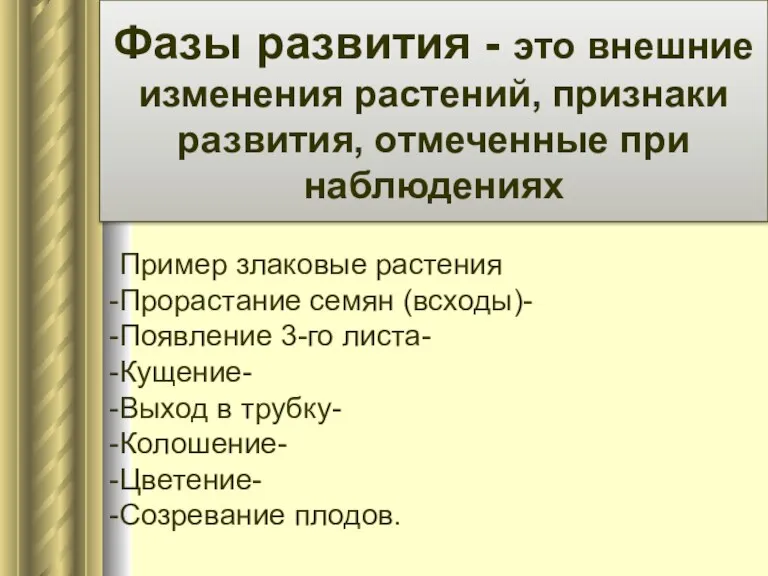 Фазы развития - это внешние изменения растений, признаки развития, отмеченные при наблюдениях