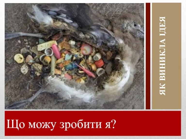 Що можу зробити я? ЯК ВИНИКЛА ІДЕЯ