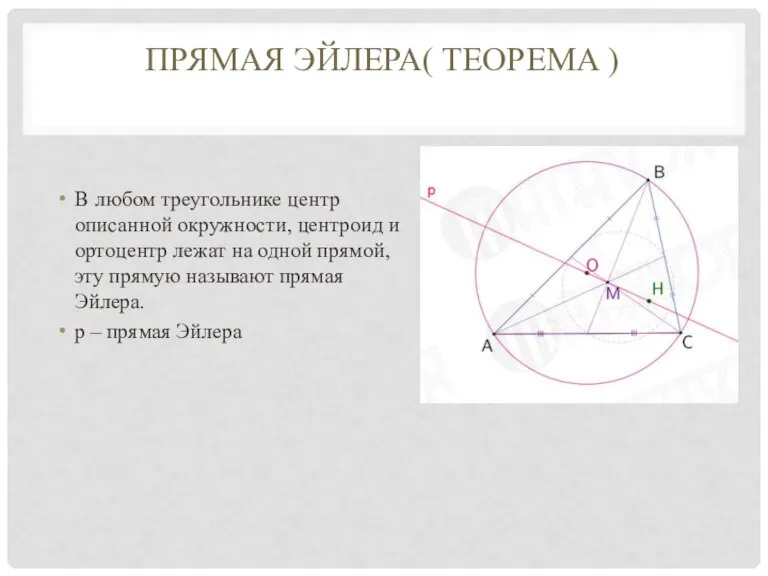ПРЯМАЯ ЭЙЛЕРА( ТЕОРЕМА ) В любом треугольнике центр описанной окружности, центроид и