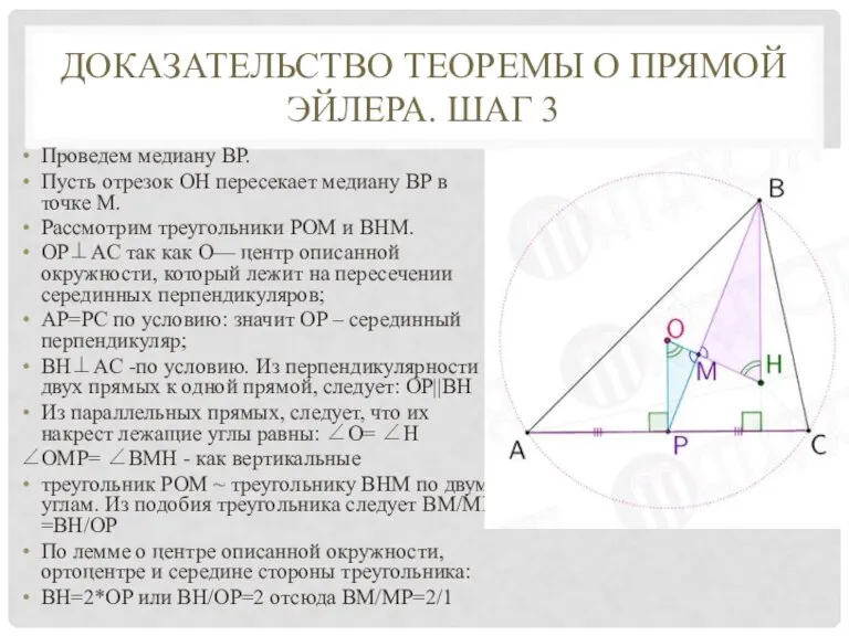 ДОКАЗАТЕЛЬСТВО ТЕОРЕМЫ О ПРЯМОЙ ЭЙЛЕРА. ШАГ 3 Проведем медиану ВР. Пусть отрезок