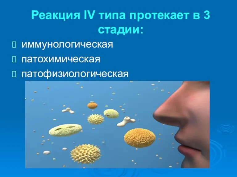 Реакция IV типа протекает в 3 стадии: иммунологическая патохимическая патофизиологическая