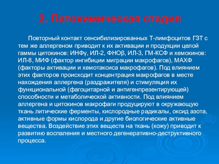 2. Патохимическая стадия Повторный контакт сенсибилизированных Т-лимфоцитов ГЗТ с тем же аллергеном