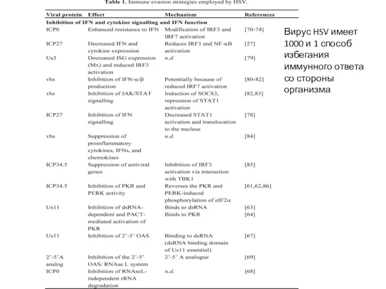 Вирус HSV имеет 1000 и 1 способ избегания иммунного ответа со стороны организма