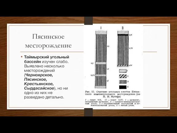 Пясинское месторождение Таймырский угольный бассейн изучен слабо. Выявлено несколько месторождений (Черноярское, Пясинское,