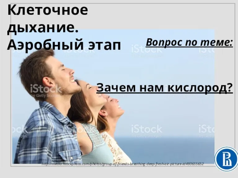 Вопрос по теме: Зачем нам кислород? http://media.istockphoto.com/photos/group-of-friends-breathing-deep-fresh-air-picture-id493655652 Клеточное дыхание. Аэробный этап