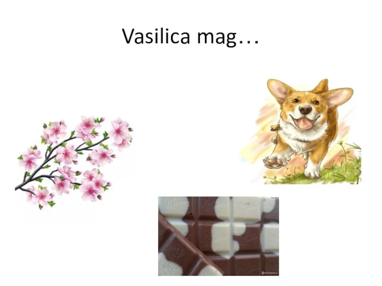 Vasilica mag…