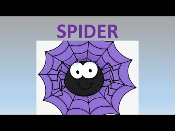 SPIDER