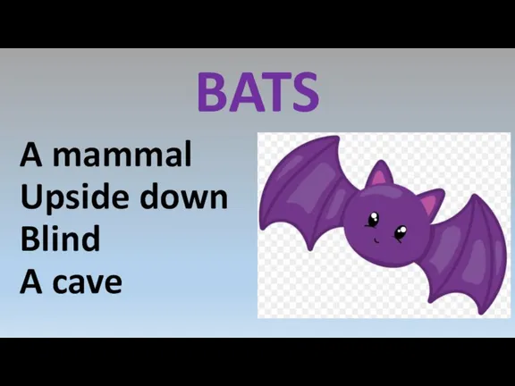 BATS A mammal Upside down Blind A cave