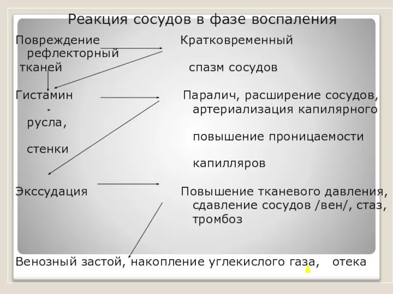 Реакция сосудов в фазе воспаления Повреждение Кратковременный рефлекторный тканей спазм сосудов Гистамин