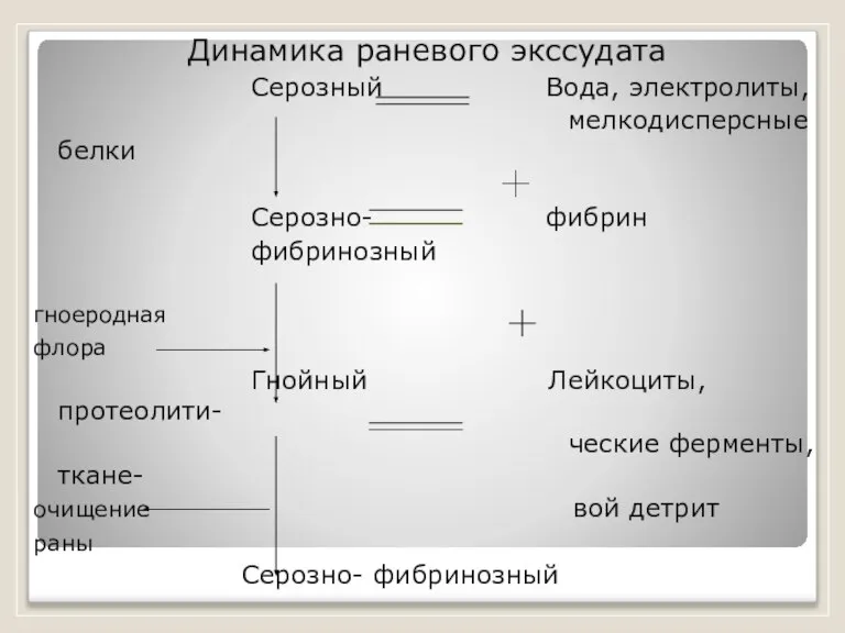 Динамика раневого экссудата Серозный Вода, электролиты, мелкодисперсные белки Серозно- фибрин фибринозный гноеродная