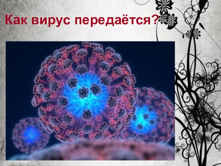 Как вирус передаётся?