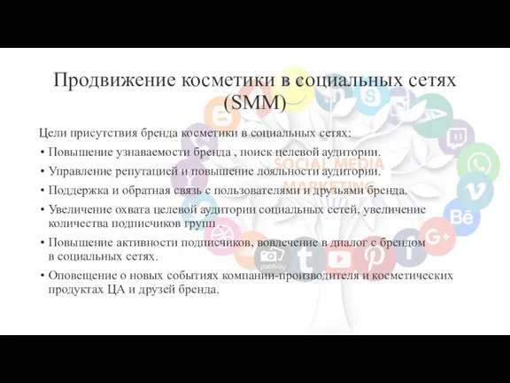 Продвижение косметики в социальных сетях (SMM) Цели присутствия бренда косметики в социальных