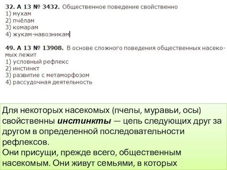 Для некоторых насекомых (пчелы, муравьи, осы) свойственны инстинкты — цепь следующих друг