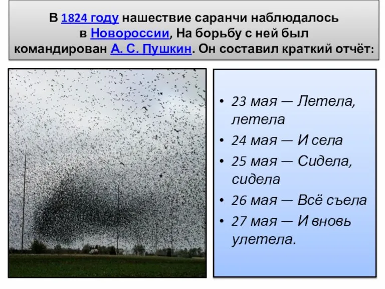 В 1824 году нашествие саранчи наблюдалось в Новороссии, На борьбу с ней