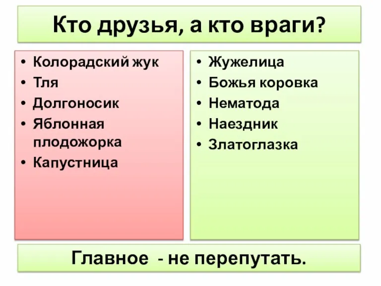 Кто друзья, а кто враги? Колорадский жук Тля Долгоносик Яблонная плодожорка Капустница