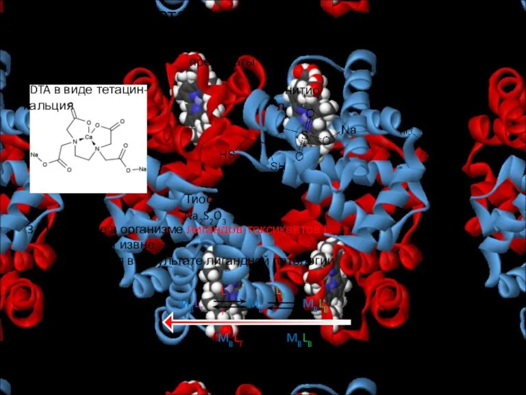 Металлолигандный гомеостаз Хелатирующие препараты EDTA в виде тетацин-кальция Унитиол Сукцимер Тиосульфат натрия