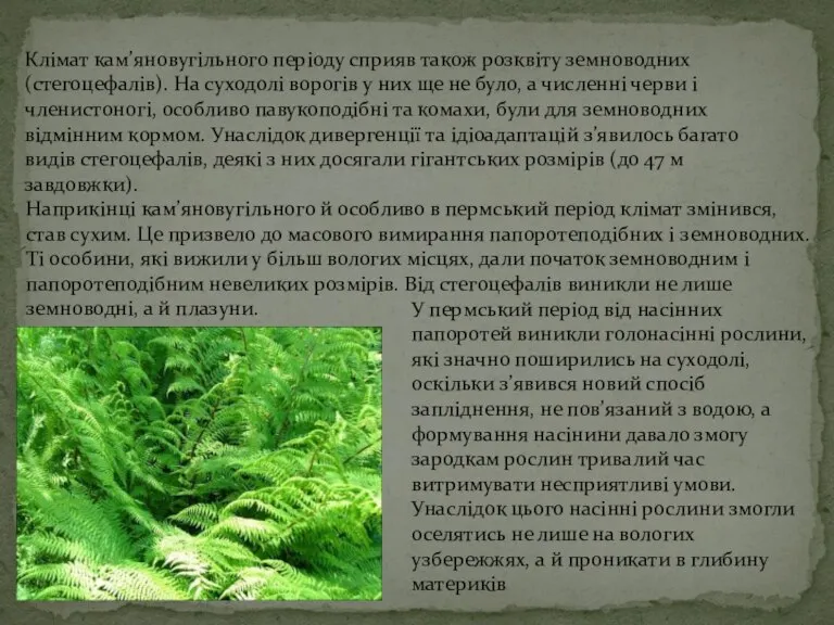 Клімат кам’яновугільного періоду сприяв також розквіту земноводних (стегоцефалів). На суходолі ворогів у