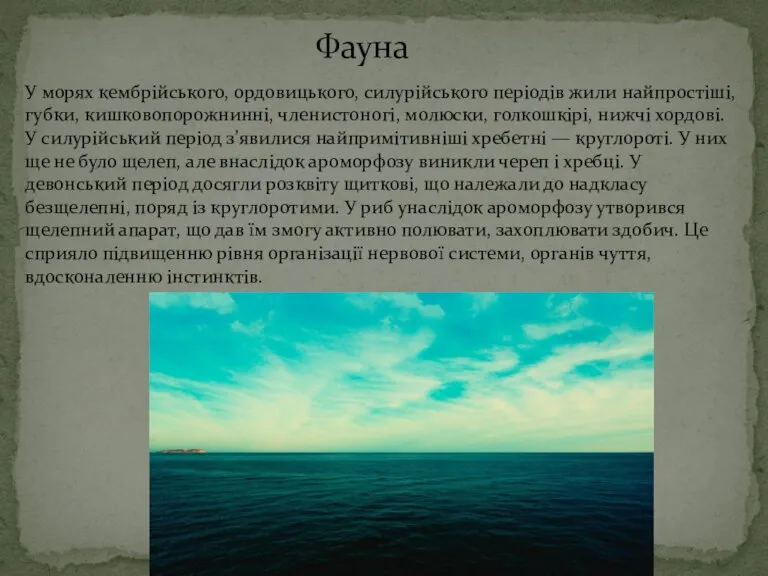 У морях кембрійського, ордовицького, силурійського періодів жили найпростіші, губки, кишковопорожнинні, членистоногі, молюски,