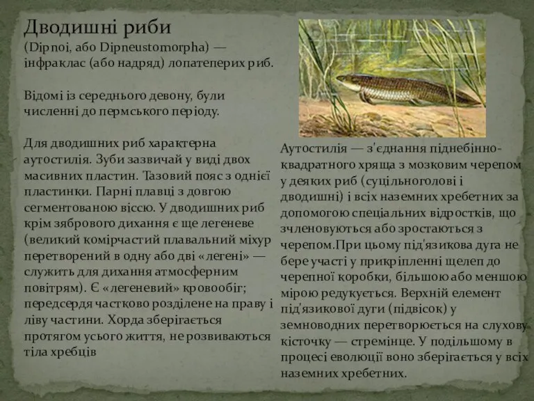 Дводишні риби (Dipnoi, або Dipneustomorpha) — інфраклас (або надряд) лопатеперих риб. Відомі