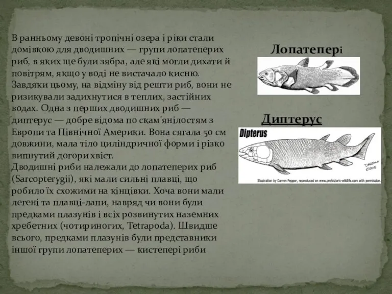 Лопатепері В ранньому девоні тропічні озера і ріки стали домівкою для дводишних