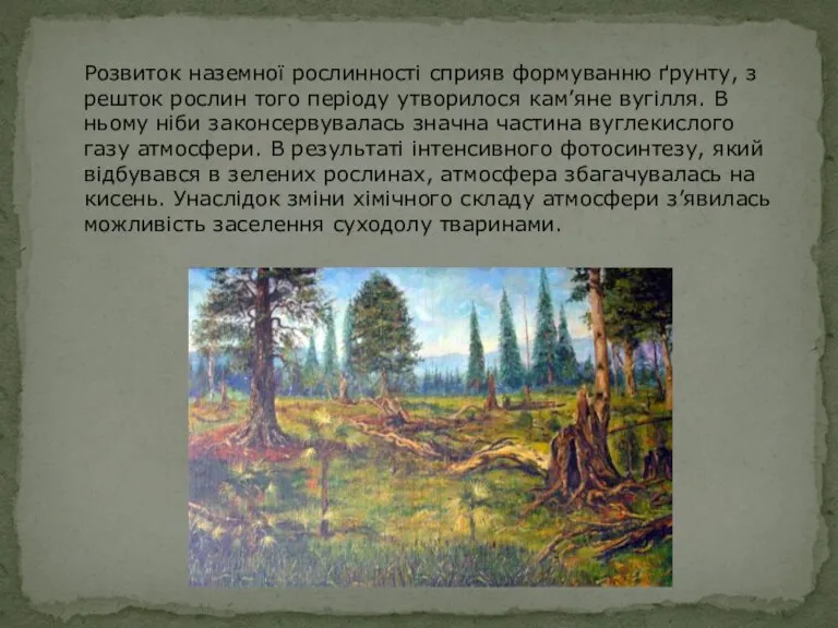 Розвиток наземної рослинності сприяв формуванню ґрунту, з решток рослин того періоду утворилося