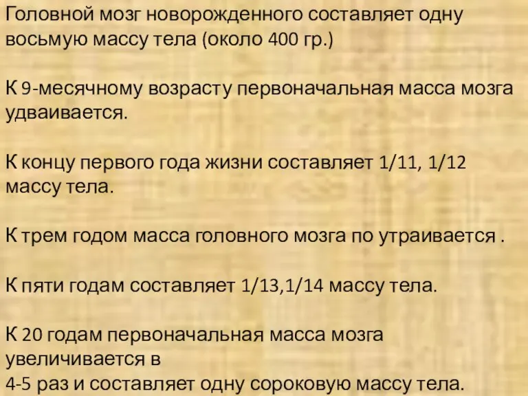 Головной мозг новорожденного составляет одну восьмую массу тела (около 400 гр.) К