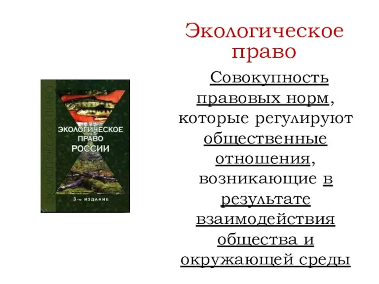 Совокупность правовых норм, которые регулируют общественные отношения, возникающие в результате взаимодействия общества