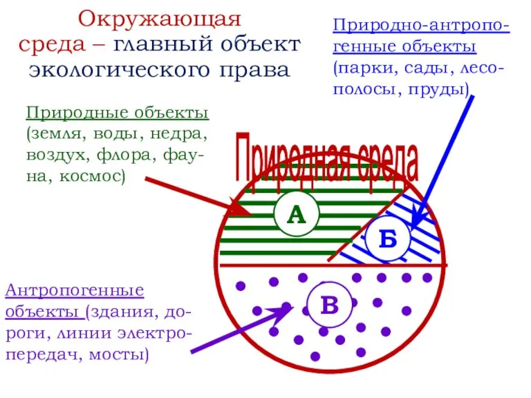 Окружающая среда – главный объект экологического права Природные объекты (земля, воды, недра,