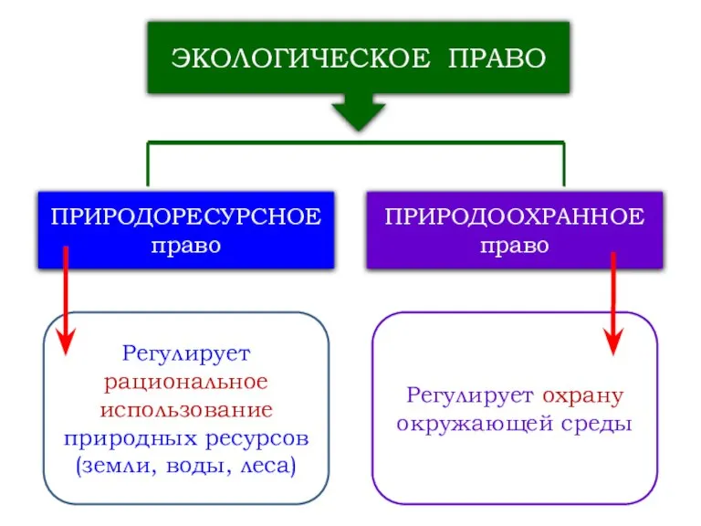 ЭКОЛОГИЧЕСКОЕ ПРАВО ПРИРОДОРЕСУРСНОЕ право ПРИРОДООХРАННОЕ право Регулирует рациональное использование природных ресурсов (земли,