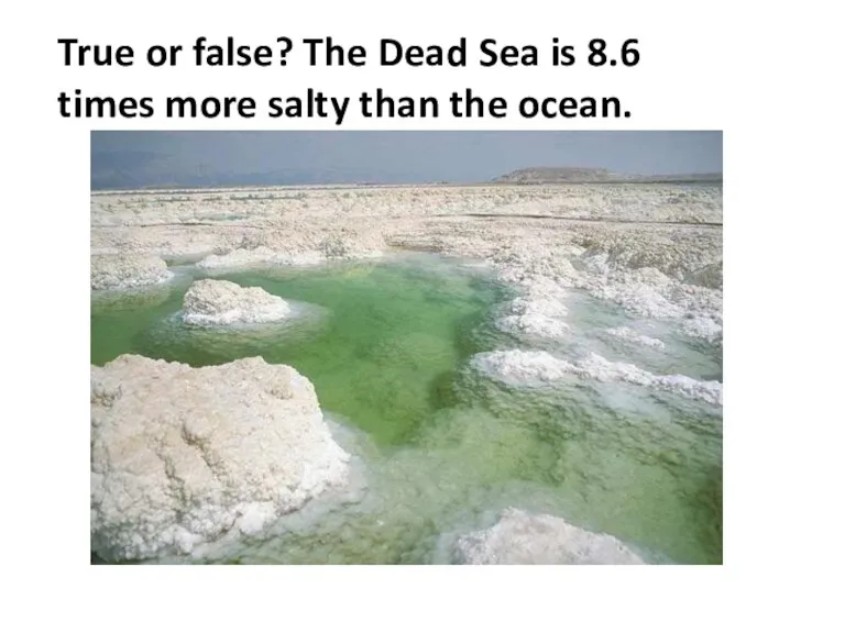 True or false? The Dead Sea is 8.6 times more salty than the ocean.
