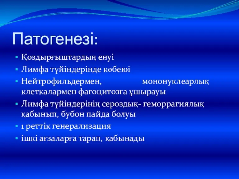 Патогенезі: Қоздырғыштардың енуі Лимфа түйіндерінде көбеюі Нейтрофильдермен, мононуклеарлық клеткалармен фагоцитозға ұшырауы Лимфа