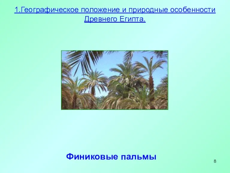 Финиковые пальмы 1.Географическое положение и природные особенности Древнего Египта.