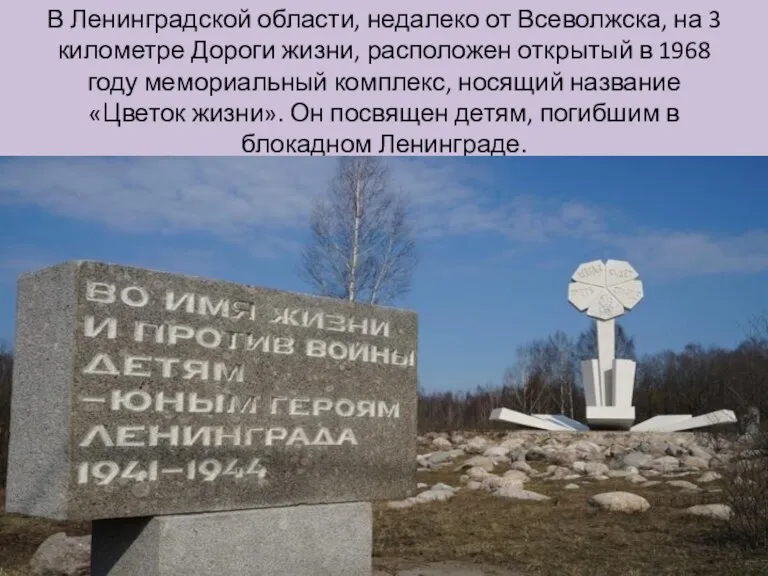 В Ленинградской области, недалеко от Всеволжска, на 3 километре Дороги жизни, расположен